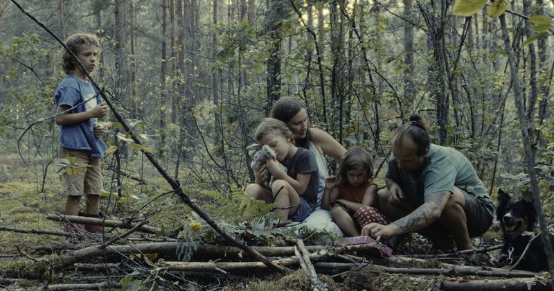 Las / Der Wald / The Forest